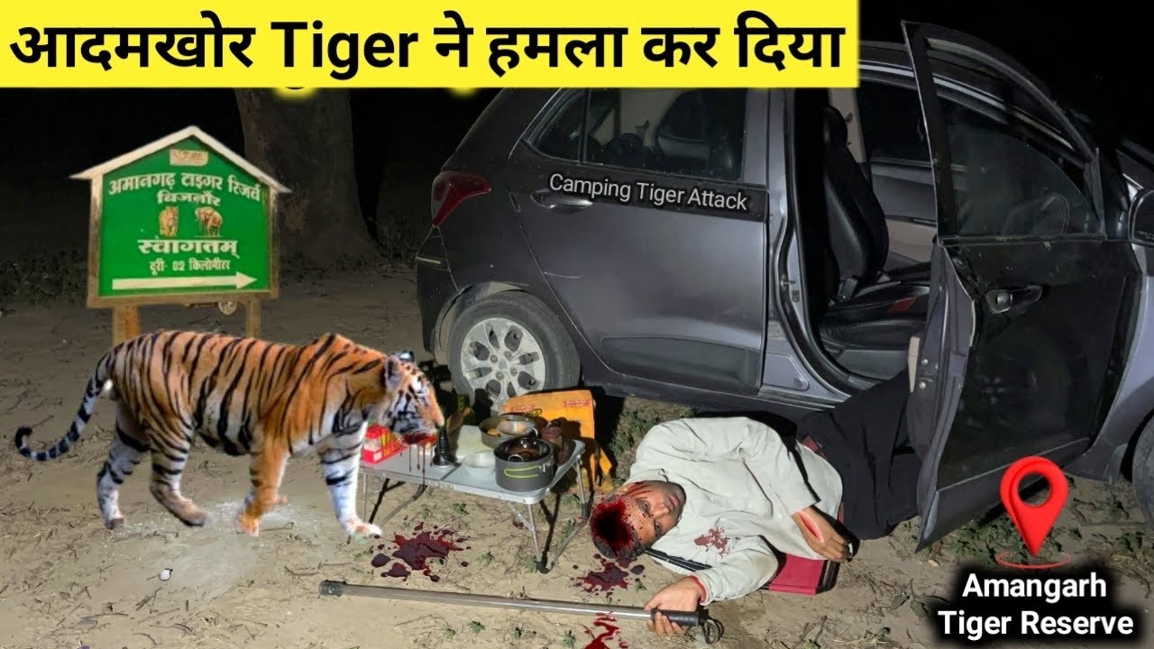 Tiger🐅 Attack आदमखोर बाघ ने हमला कर दिया Jungle Night Camping Video TigerAttackManInForestJimCorbett