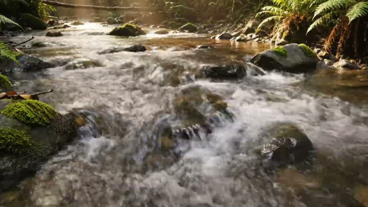 Tropical Forest Heavy Riverflow ASMR for Sleep ASMR | Nature Sounds ASMR