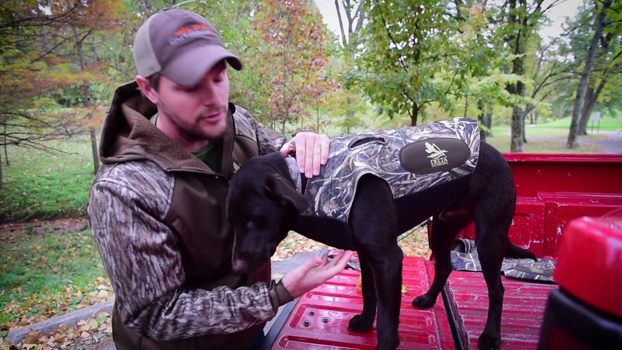 Choosing the Best Size Deluxe Dog Vest by ALPS OutdoorZ for your Dog