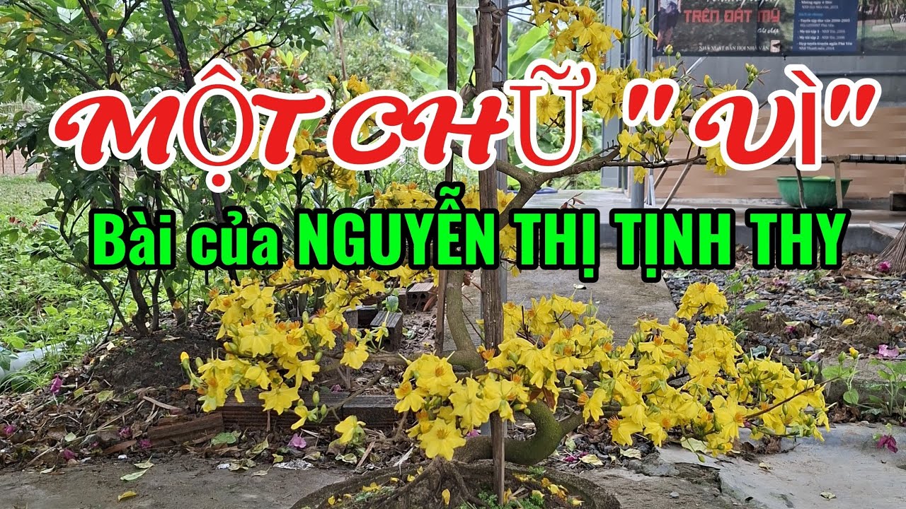 MỘT CHỮ VÌ. TÁC PHẨM CỦA NGUYỄN THỊ TỊNH THY.