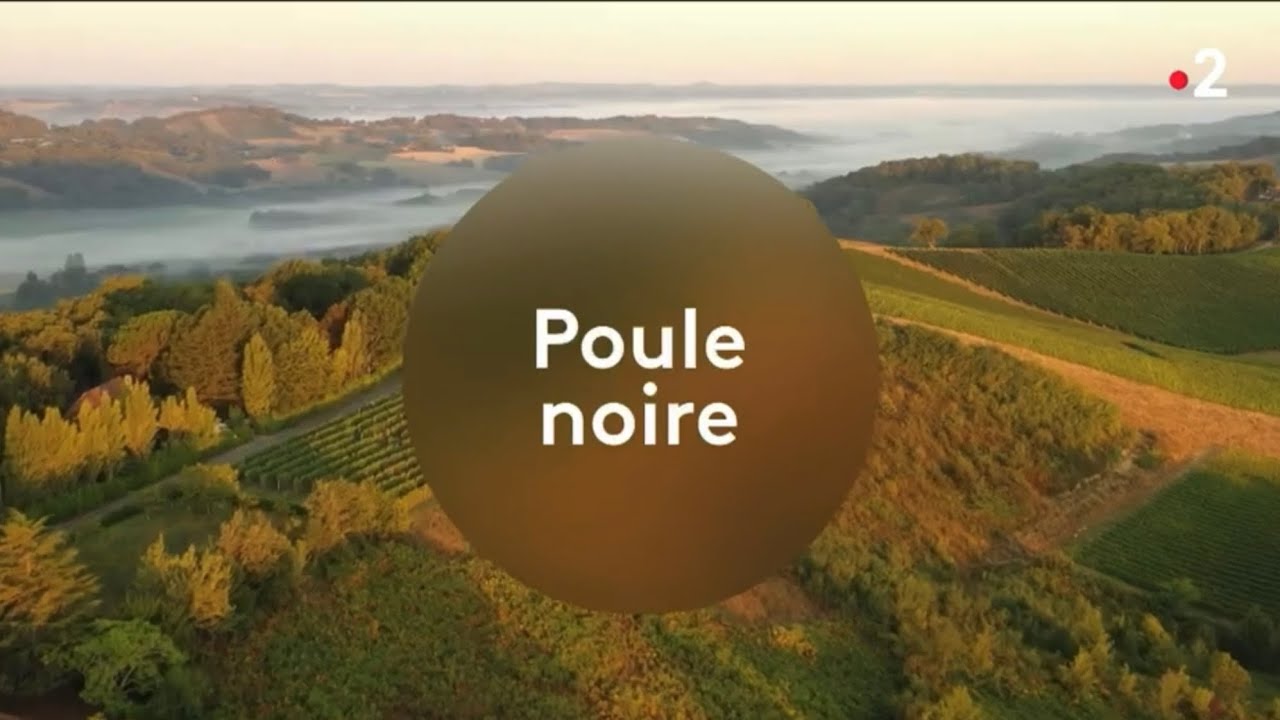 REPORTAGE - À la découverte du Gers : la renaissance de la poule noire