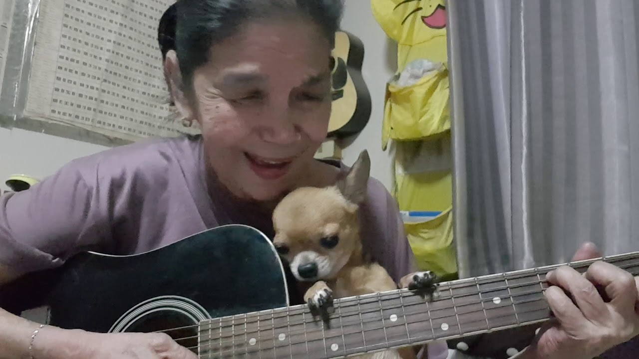 Hey Jude...👵Cover by Malinda...👵
