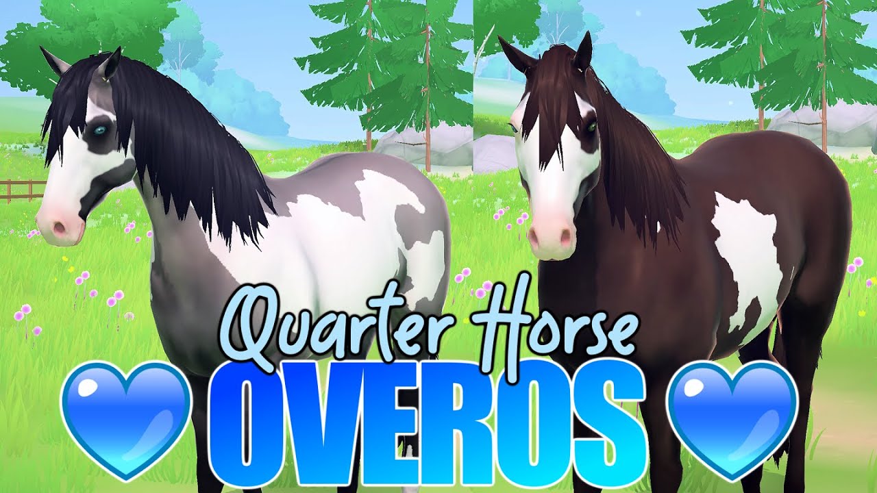 wir ERSTELLEN unser 🅴🆁🆂🆃🅴🆂 OVERO QUARTER HORSE 🐴🎨 Equestrian the Game
