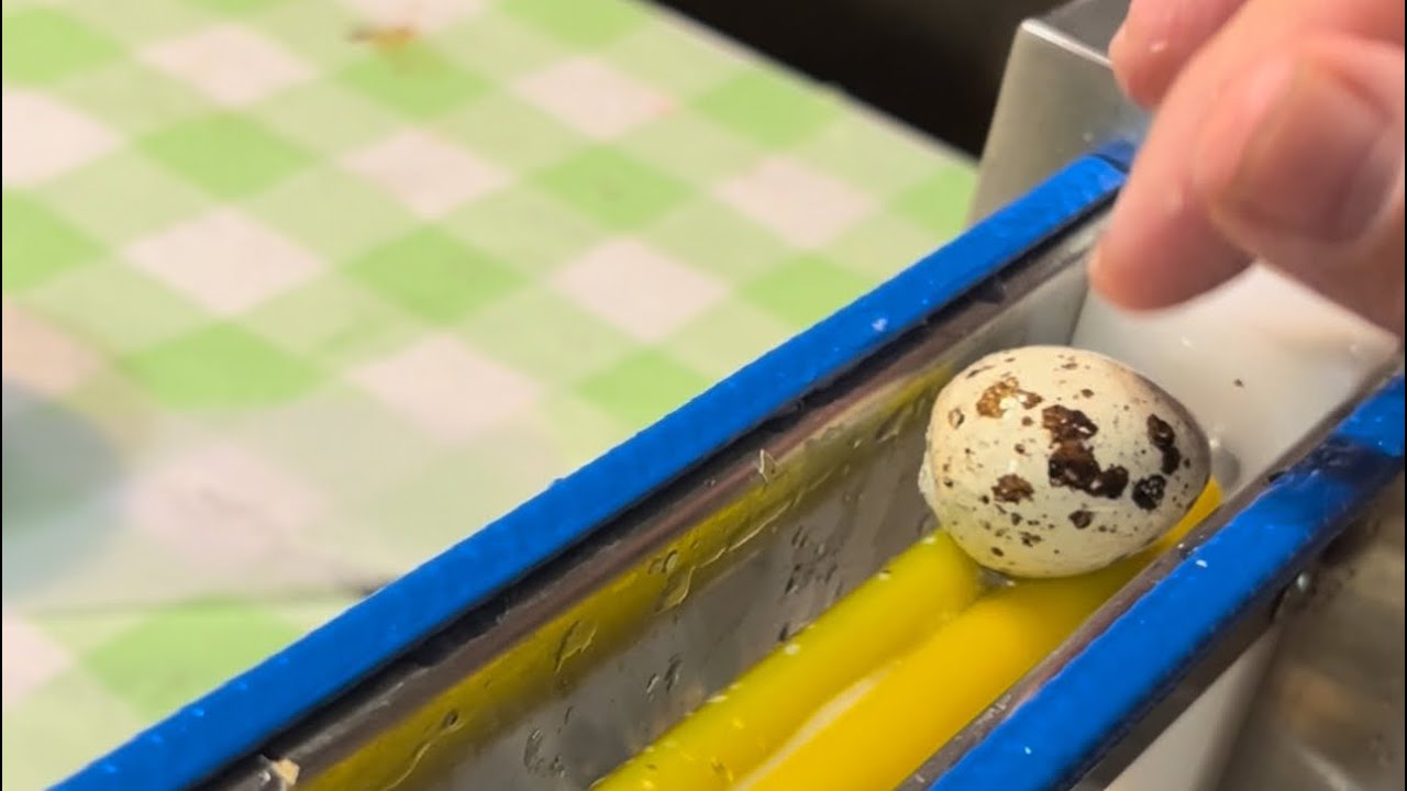 Electric Quail Egg Peeler Review: Updated