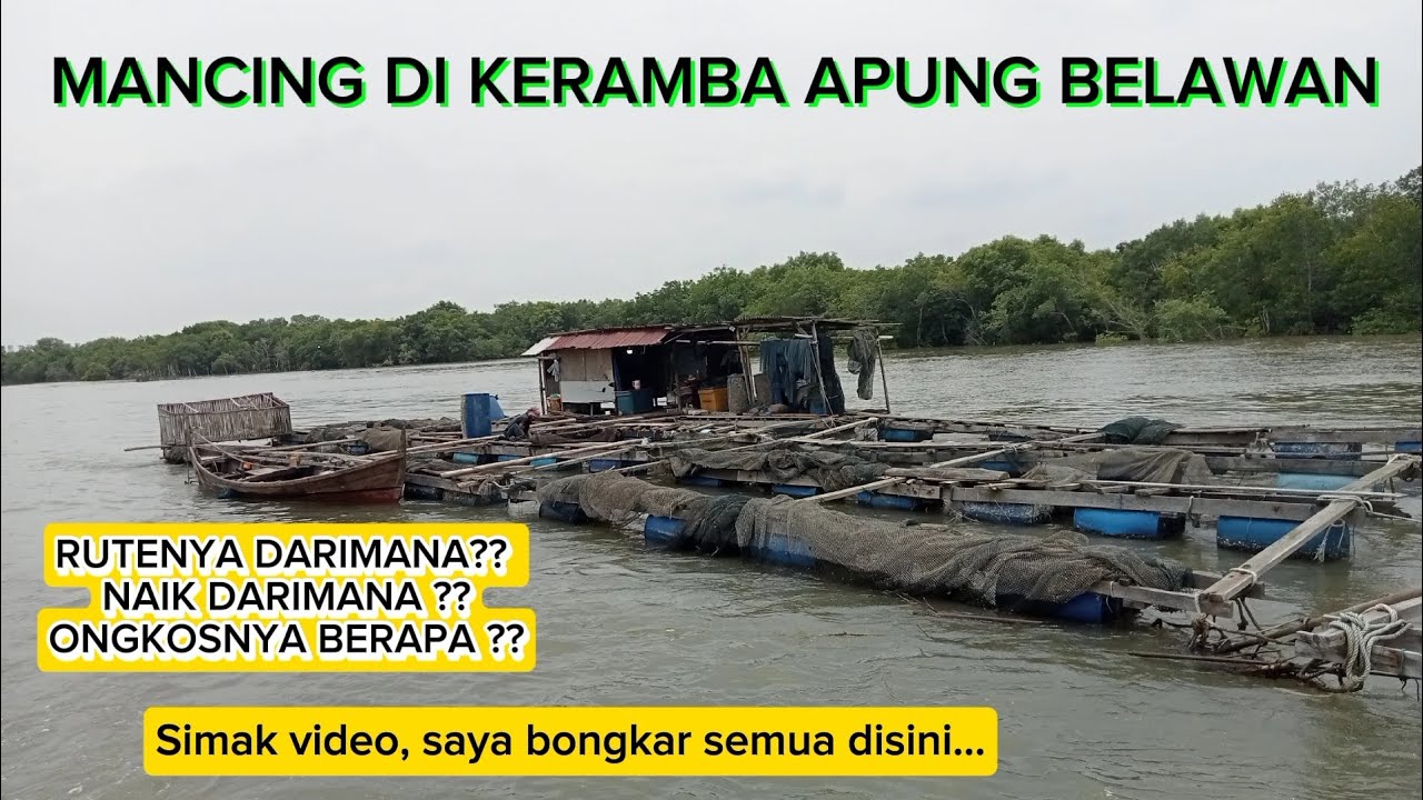 LOKASI MANCING PINGGIRAN DI KAMPUNG NELAYAN SEBRANG KERAMBA APUNG BELAWAN