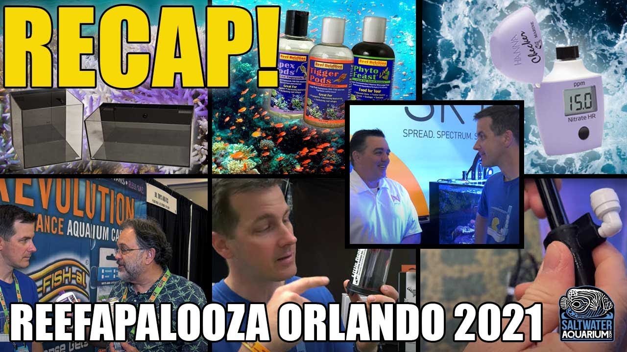 FULL RECAP! Reefapalooza Orlando 2021 - Neptune SKY, Hanna HI782 Checker, Planet AIO Tanks & More!