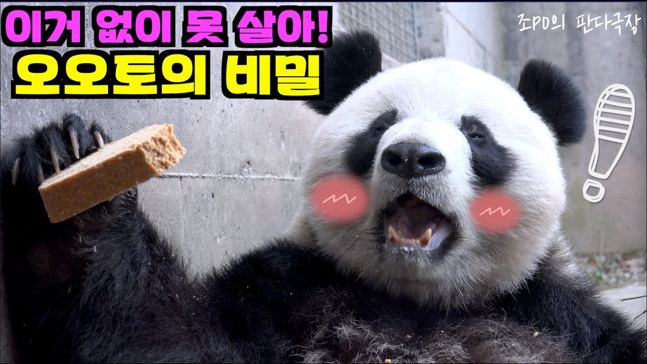 [PandaTV] 판다들의 미친 영양간식 워오토는 어떻게 만드는가?