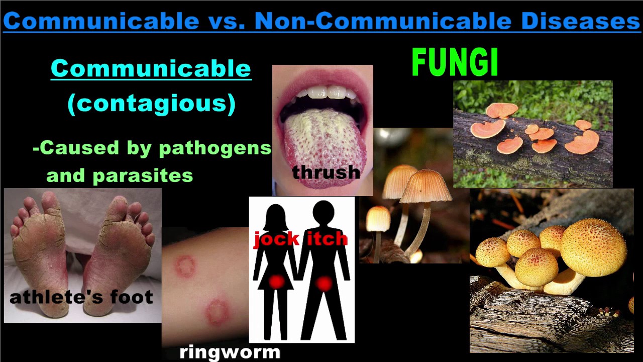 Is it Communicable or Non-communicable?