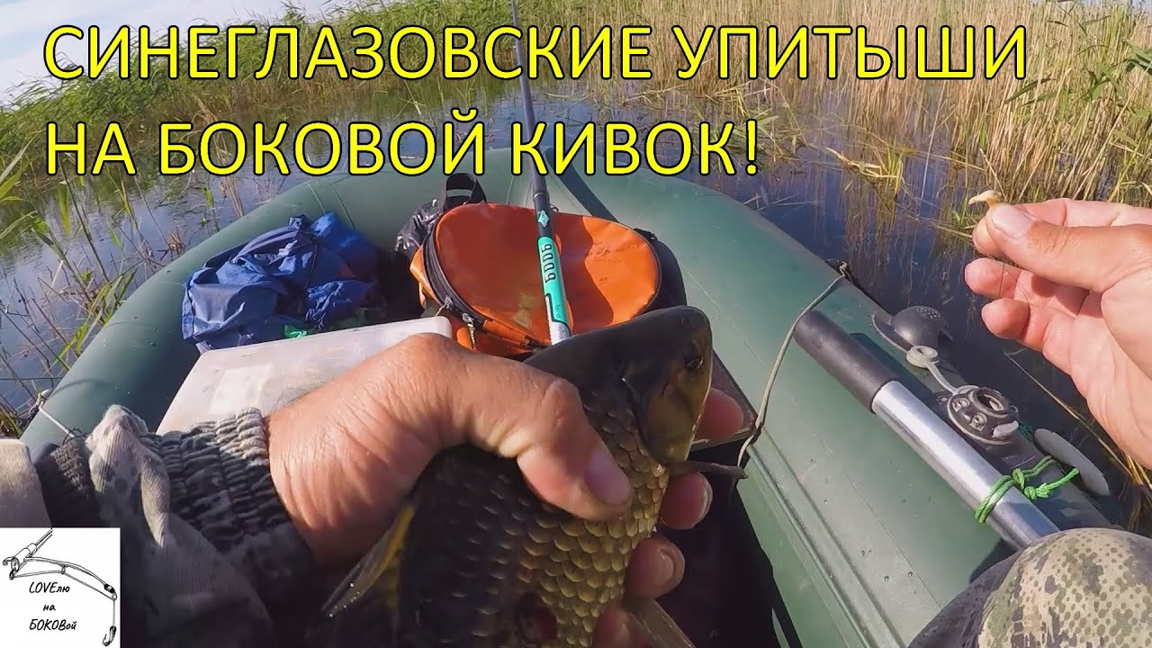 Я ТАКОГО НЕ ОЖИДАЛ ОТ СИНЕГЛАЗОВО!!! УПИТАННЫЕ КАРАСИ АТАКУЮТ НА БОКОВОЙ КИВОК!
