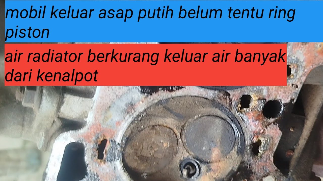 Penyebab mobil mesin oli campur air.Ngebul dan banyak keluar air dari kenalpot