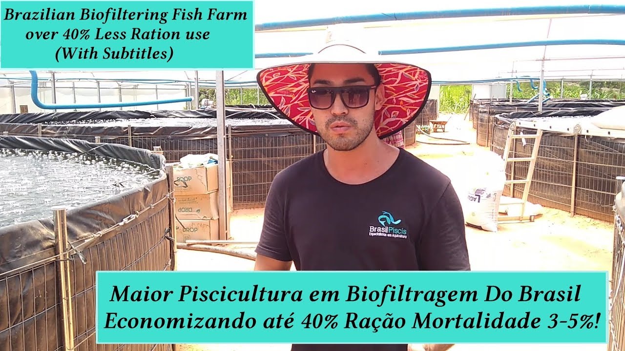 Maior Piscicultura Industrial Biofiltragem do Brasil Economia Ração - Vídeo 95
