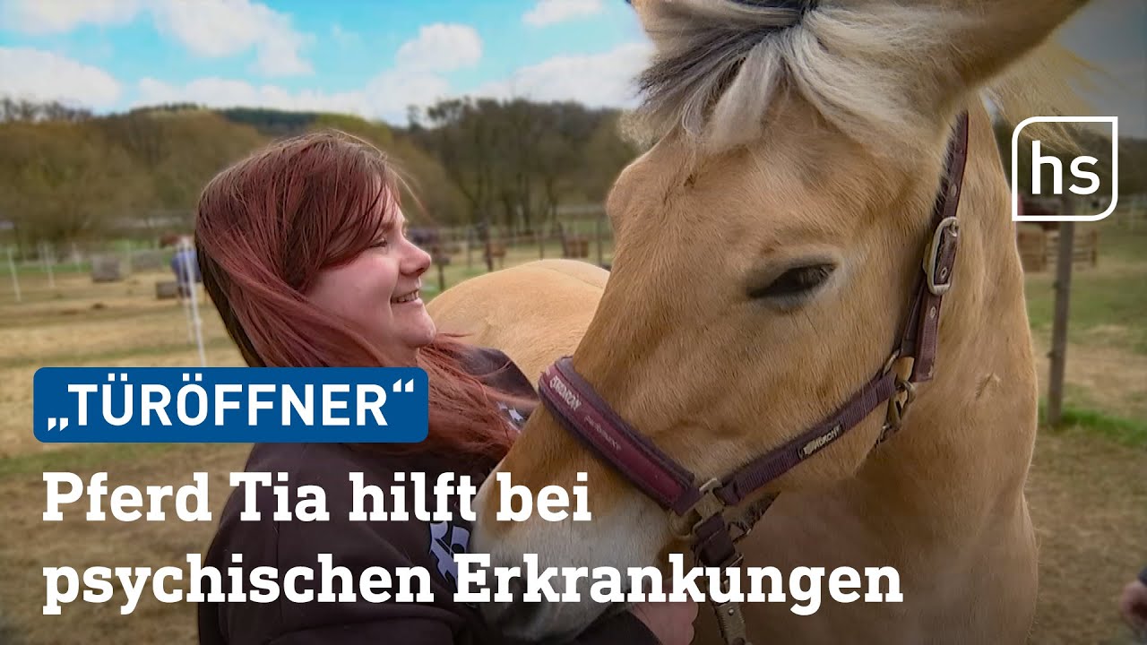 Therapie mit Pferd in Herborn: 