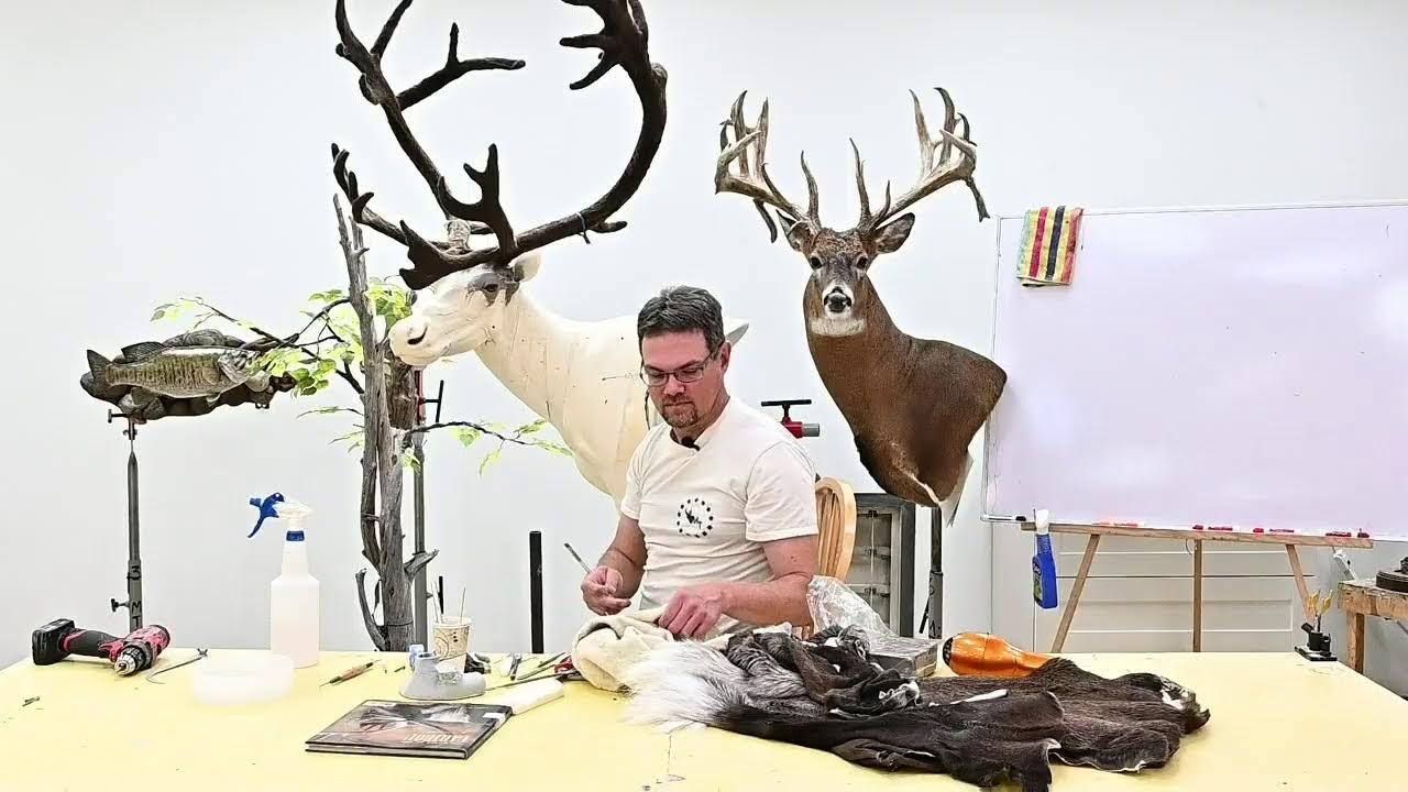 Learn Taxidermy: Part 4 - The Alaska Project