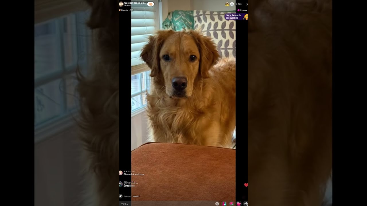 CustomWoodBurning 22nd January 2026 TikTok Live