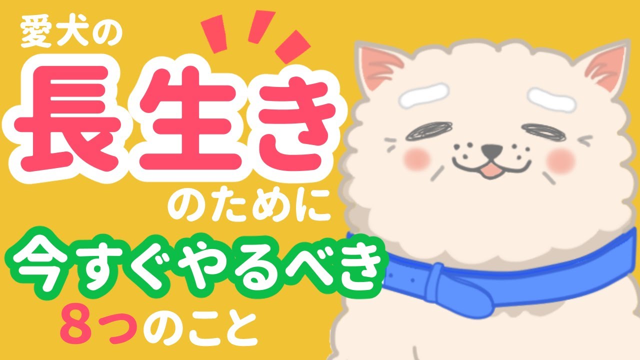 犬の長生きのために今すぐやるべき8つのこと