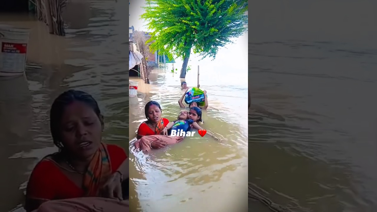 Bihar Flood Crisis 💔🙏 #vidyakul #ashortaday #bihar