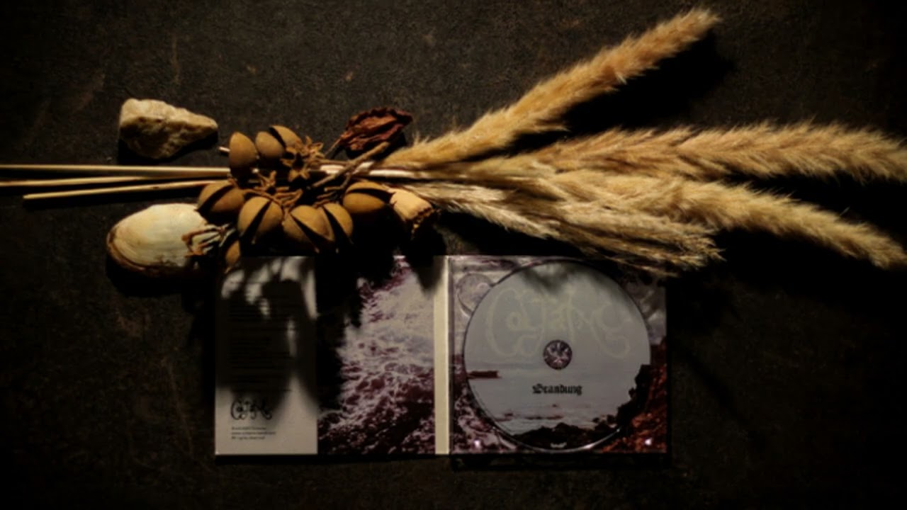 Coltaine - Brandung - full album (2025)