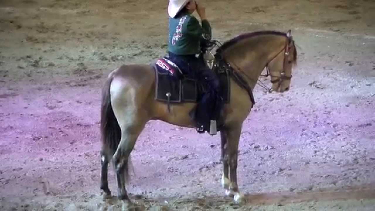 Diseñame y Mas alla del Sol - Joan Sebastian - en Plaza Monumental AGS. Feria 2014