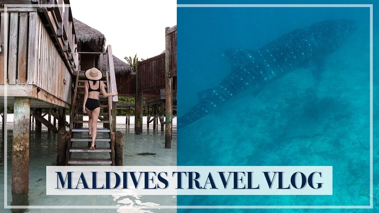 WE SWAM WITH SHARKS / HONEYMOON IN THE MALDIVES - Travel Vlog | Mademoiselle