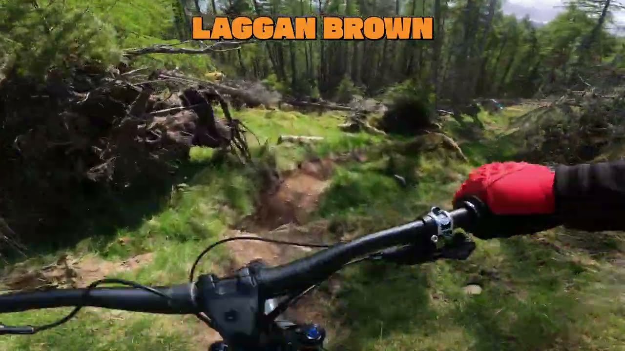 Laggan Brown