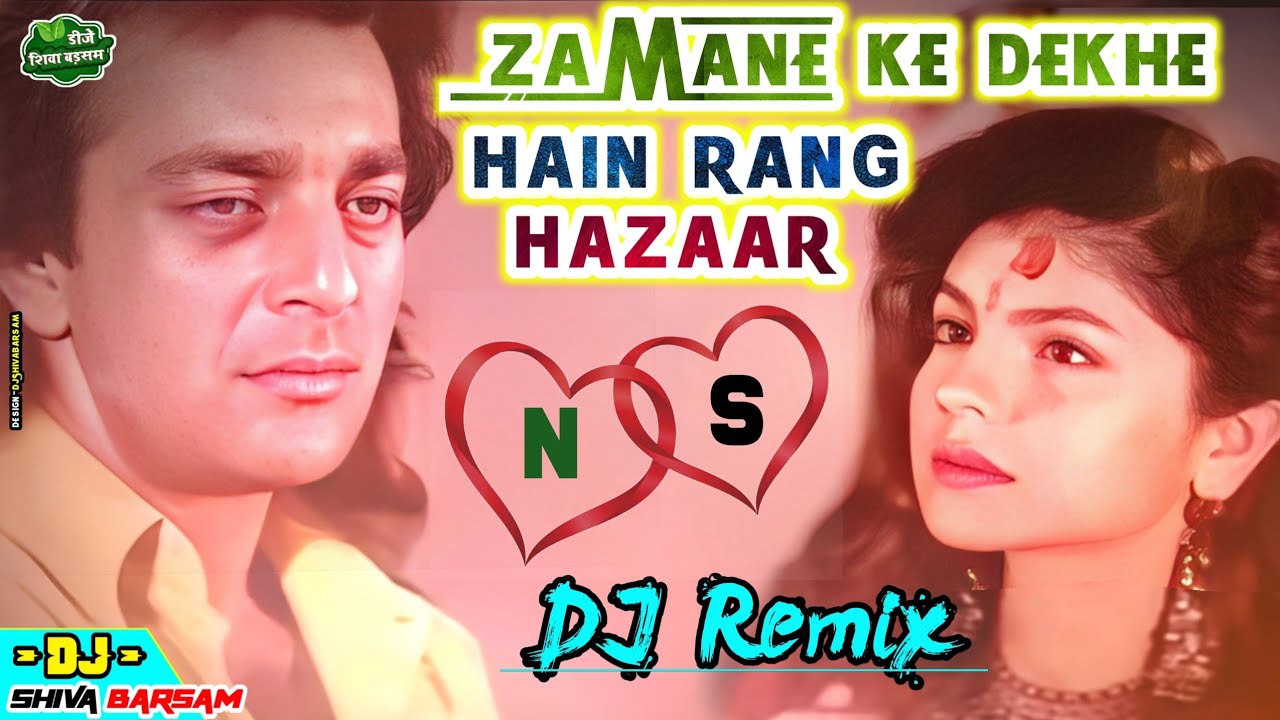 Zamane Ke Dekhe Hain Rang Hazar | Old Dj Remix Hindi Sadabahar Gane | Sadak | Anuradha P. Abhijit B.