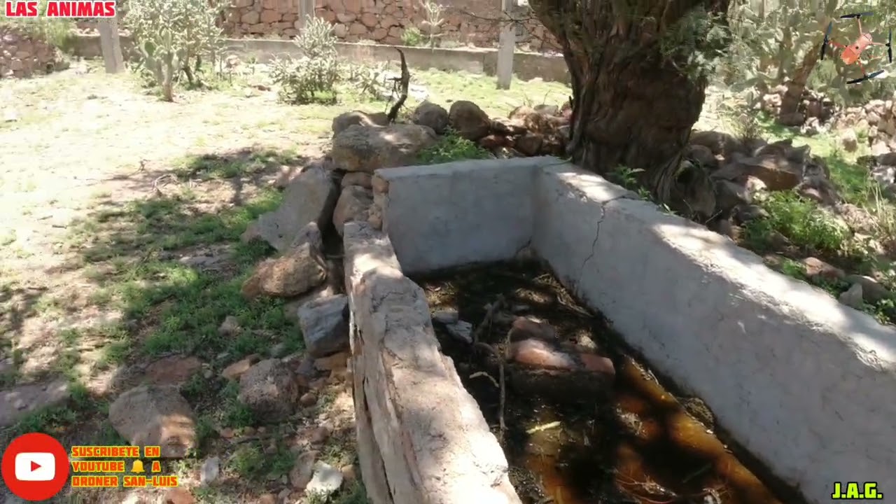 En Algún Lugar de Zaragoza San Luis Potosí México