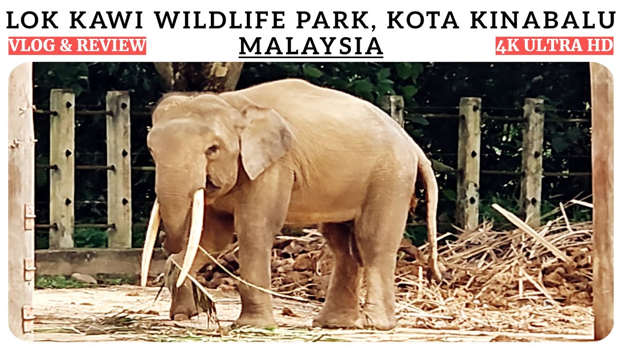 Lok Kawi Wildlife Park Kota Kinabalu Sabah