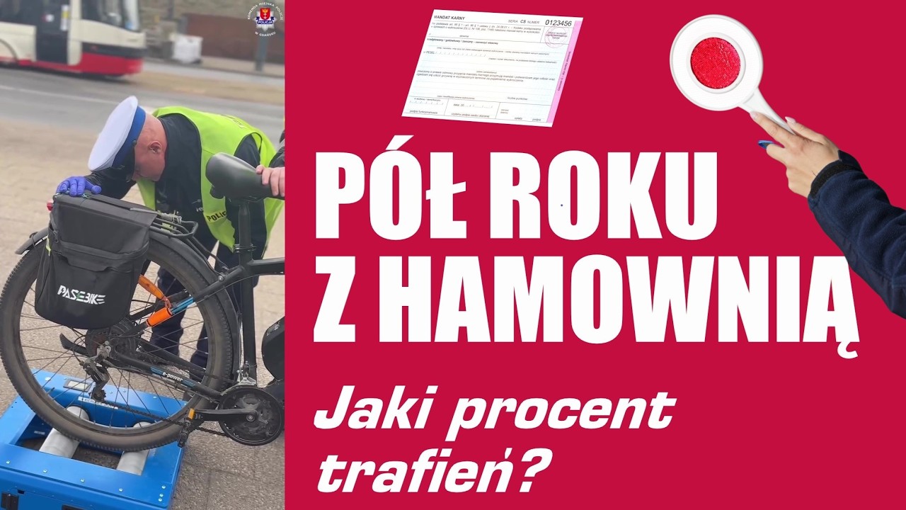 Od pouczeń po opcję atomową. Wyniki policyjnych kontroli z użyciem mobilnej hamowni w Tr&oacute;jmieście