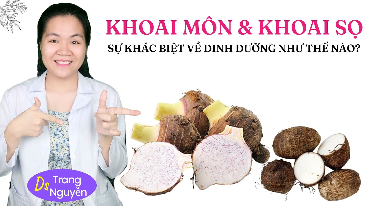Ăn khoai m&ocirc;n v&agrave; khoai sọ gi&uacute;p tăng cường SỨC KHỎE như thế n&agrave;o?
