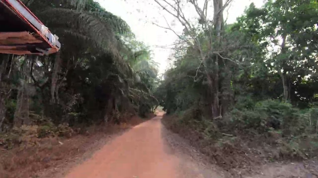 Driving into Jemberem, Guinea Bissau