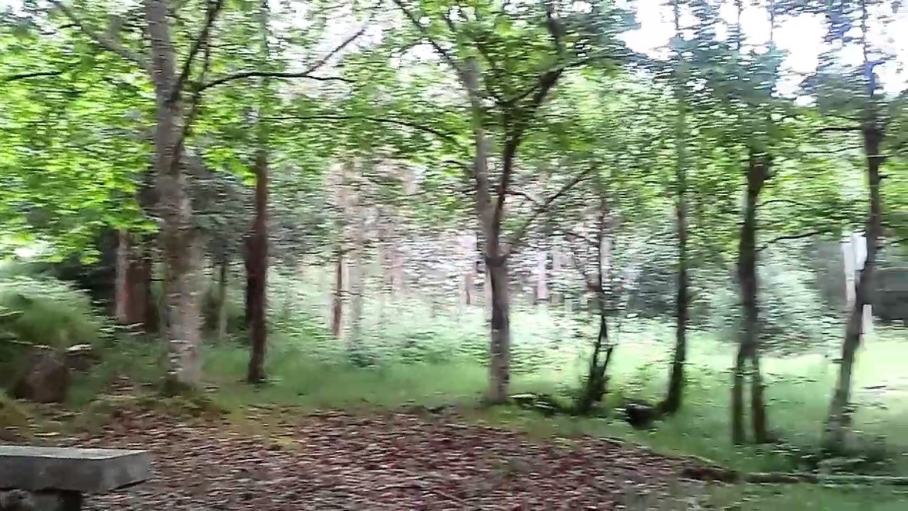 Castro de Borneiro