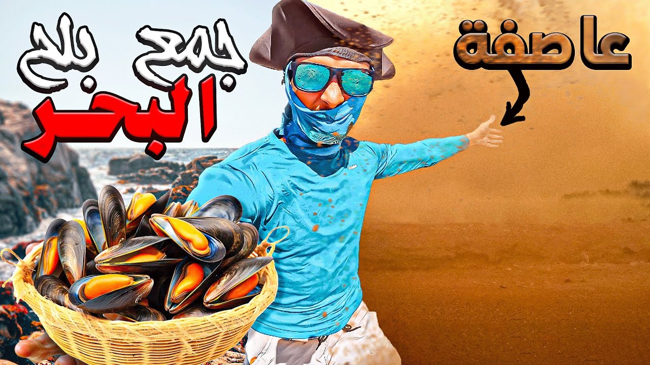 الحياة البرية:صراع البقاء☠️مواجهة عاصفة🌪️رملية في صحراء🐪 المغرب🇲🇦وتحدي جمع بلح البحر 🦪