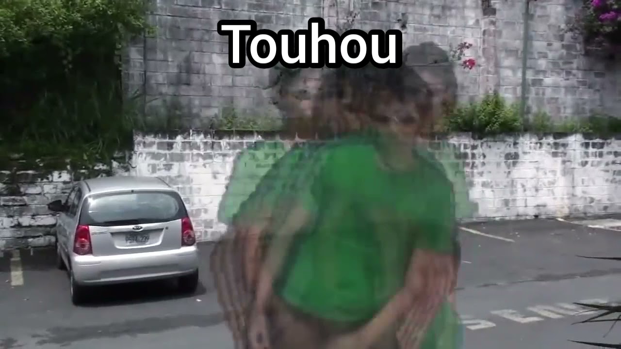 Touhou fans