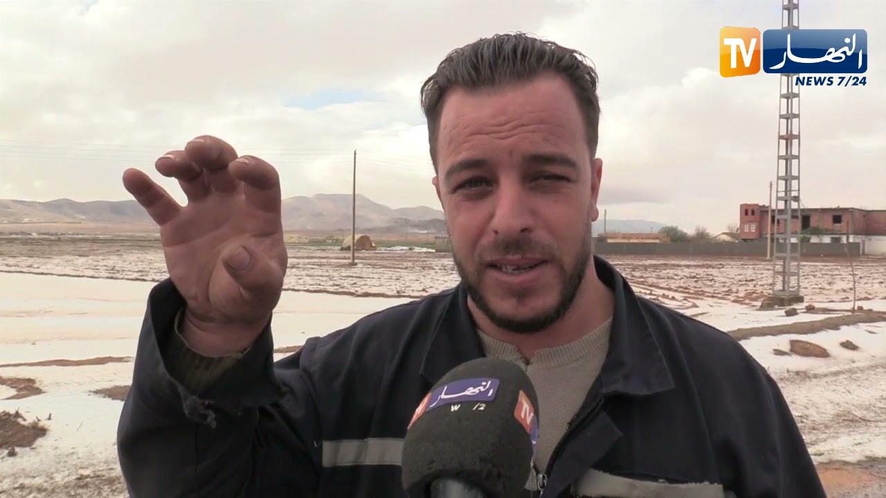 سطيف : تساقط حبات برد ضخمة تتسبب في خسائر معتبرة ببلدية قجال