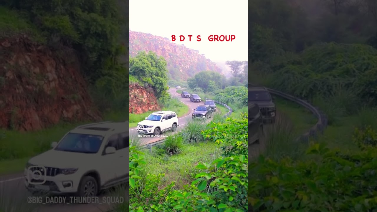 BDTS Group ! (Big daddy thunder squad )