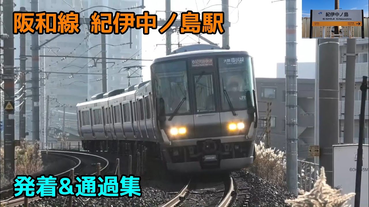 阪和線 紀伊中ノ島駅 発着&通過集