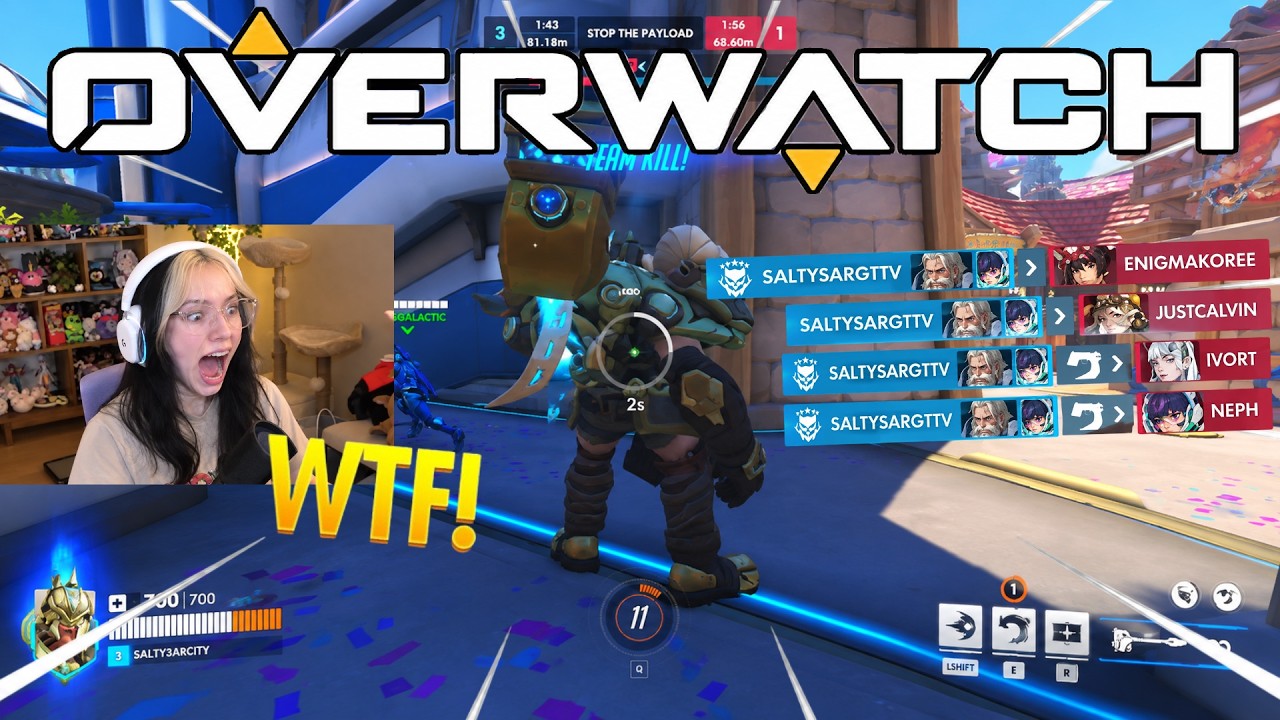 Overwatch FUNNY MOMENTS & MOST WTF Clips #309