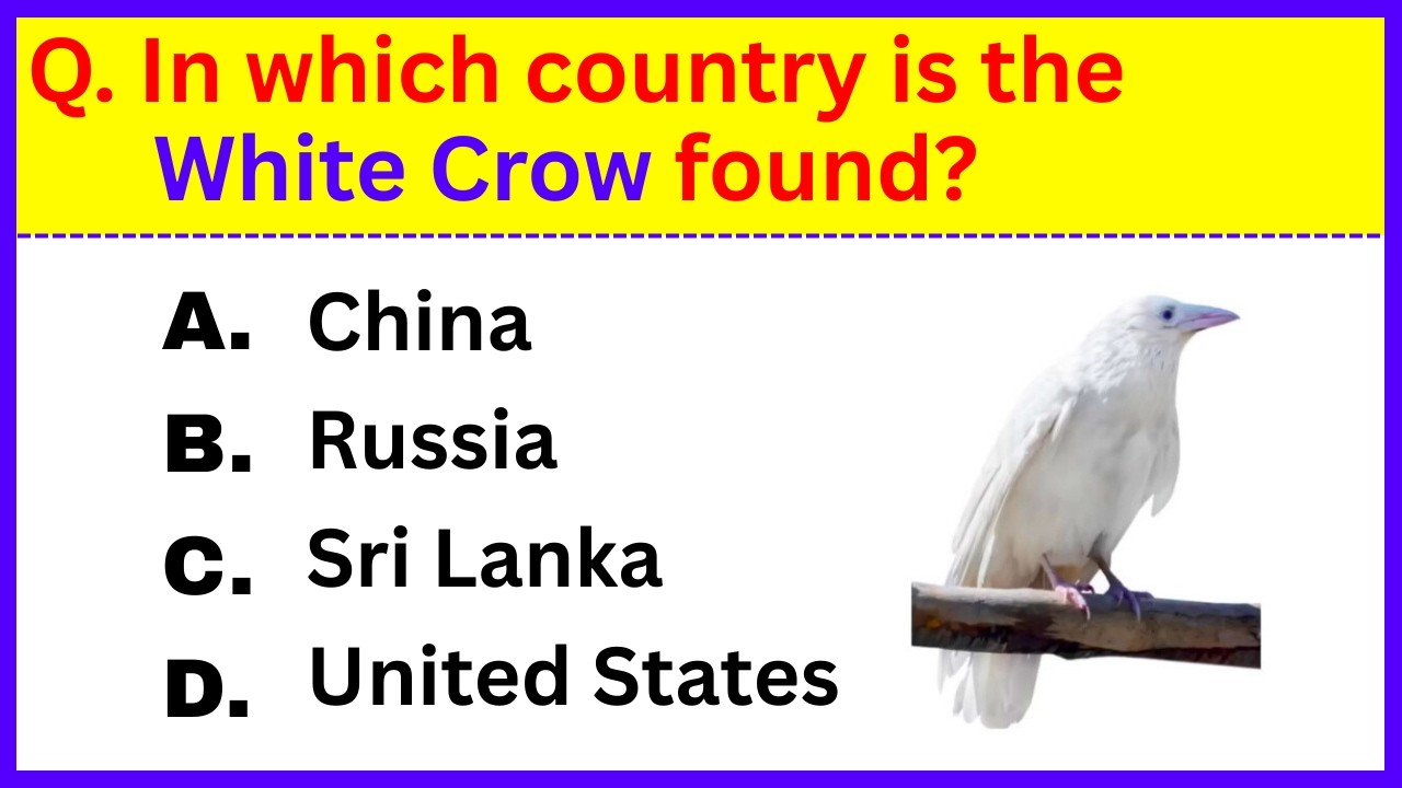 How Good Is Your General Knowledge? Take This 35-Question Quiz To Find Out!