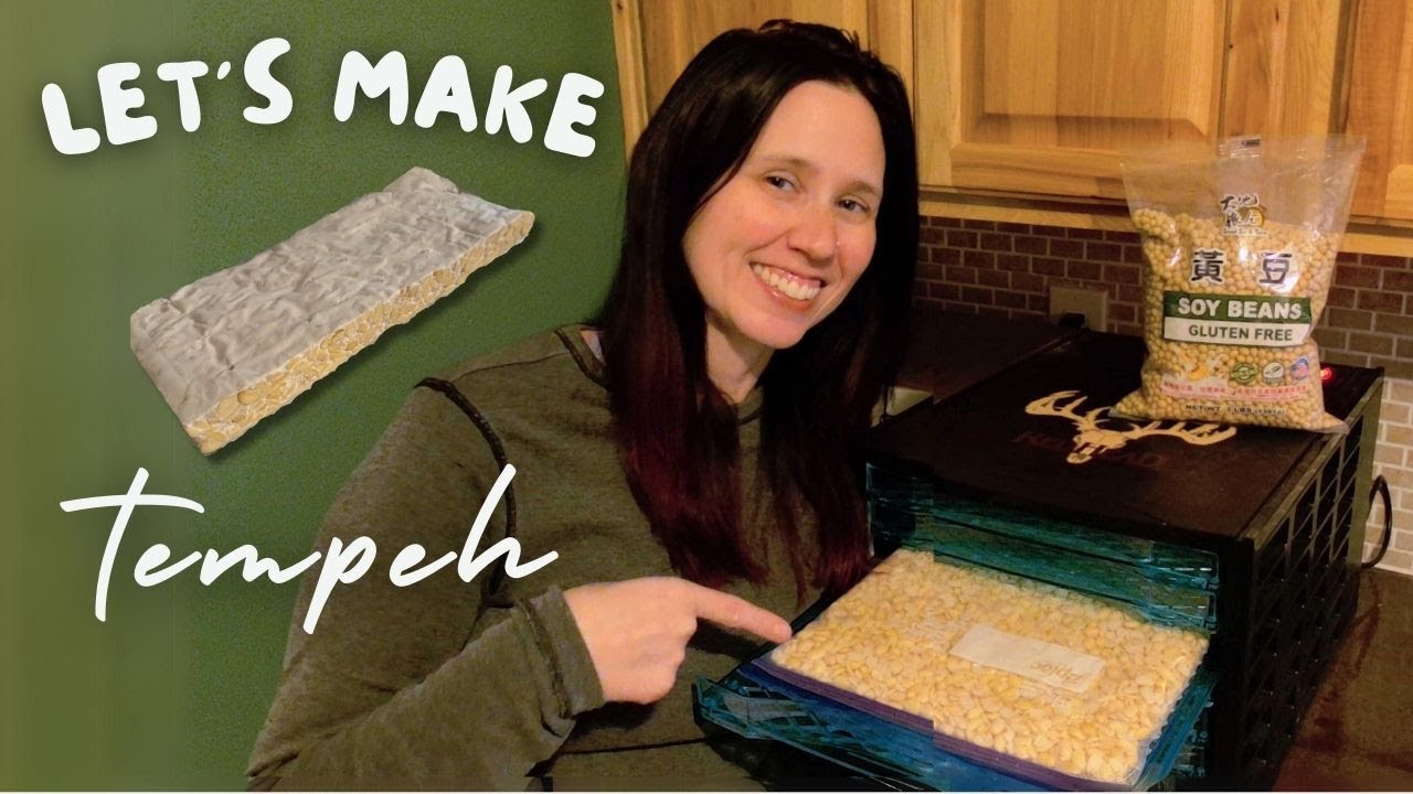 Let's Make TEMPEH | Plant based protein