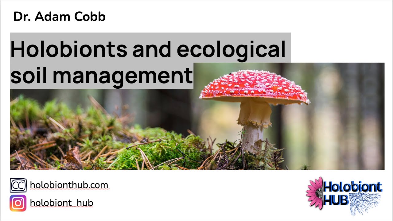 Holobionts and ecological soil management