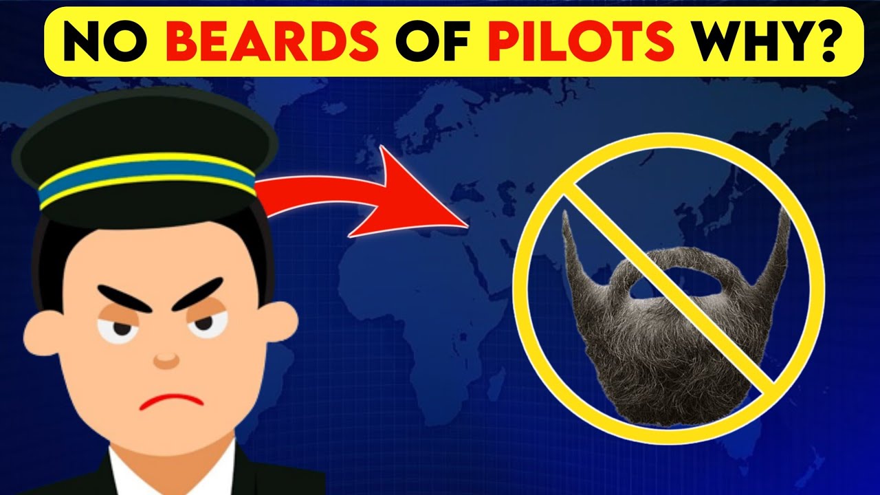 8 AMAZING FACTS ABOUT PILOT|infoseeker