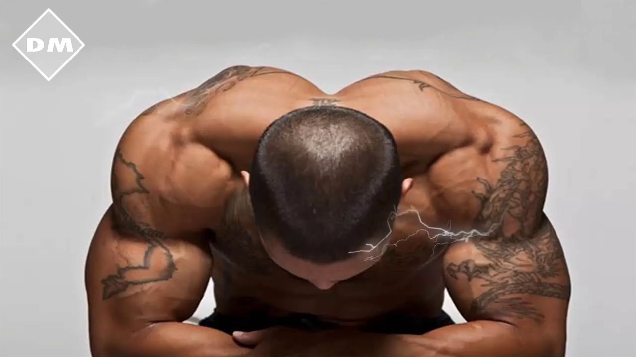 La Mejor M&uacute;sica Electr&oacute;nica 2017 💥 PARA ENTRENAR EN EL GYM 💥 Lo Mas Nuevo Workout Motivation 2017