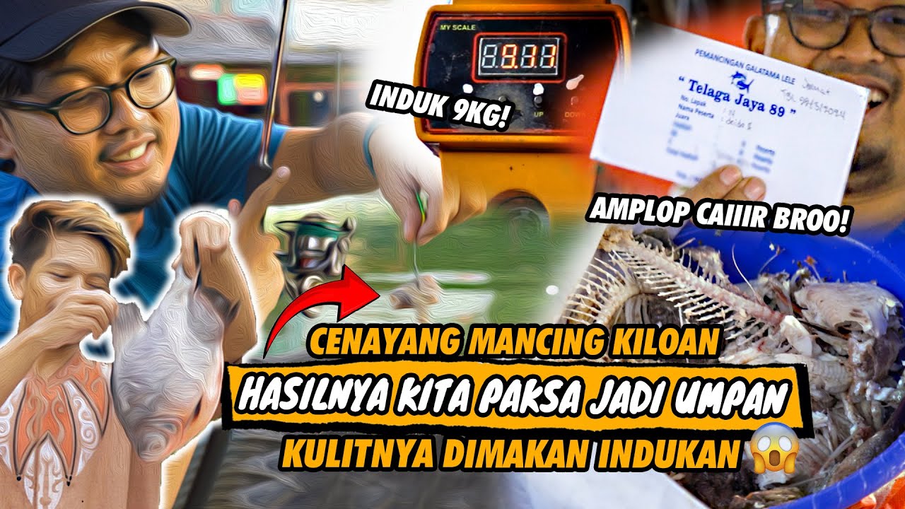 MANCING PAKE UMPAN PIRANHA! REEL DEWA NGEBETOT MEMBABI BUTA SAMPE JUARA! DAIDO KRAKEN❌DAIDO THALASSA