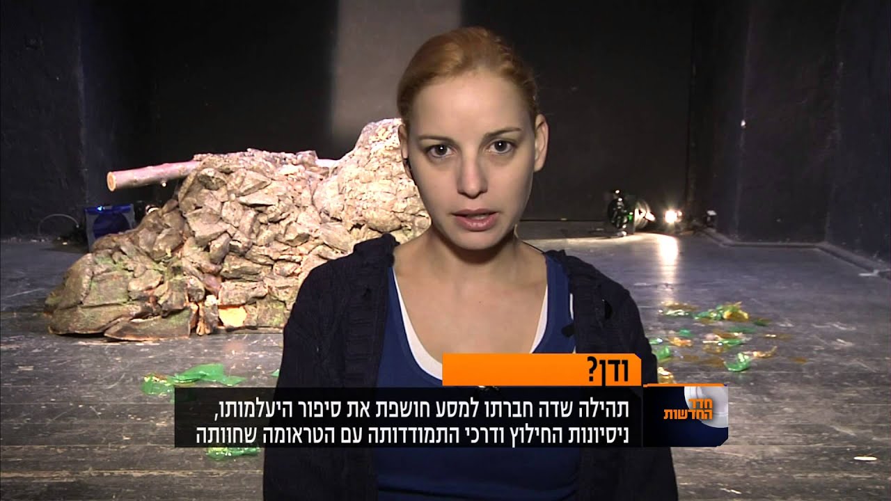 חדר החדשות - על ההצגה 