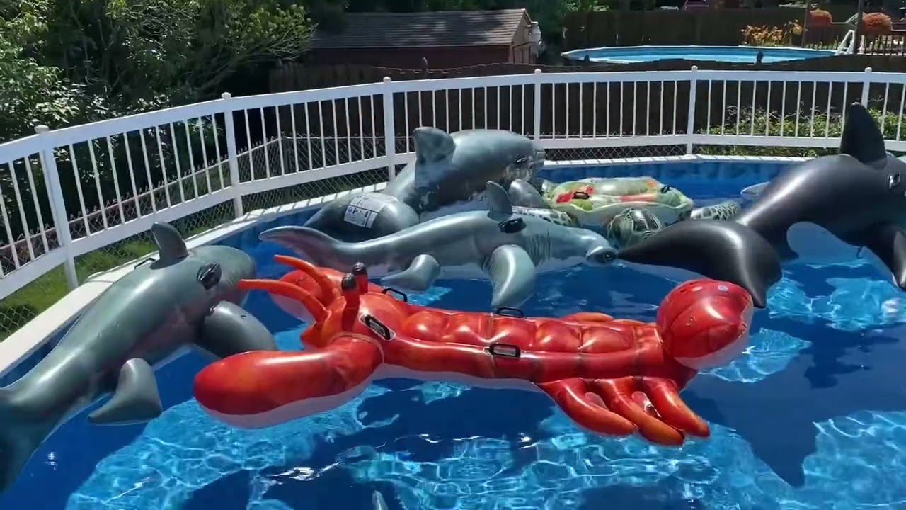 Intex Ride-On Animals