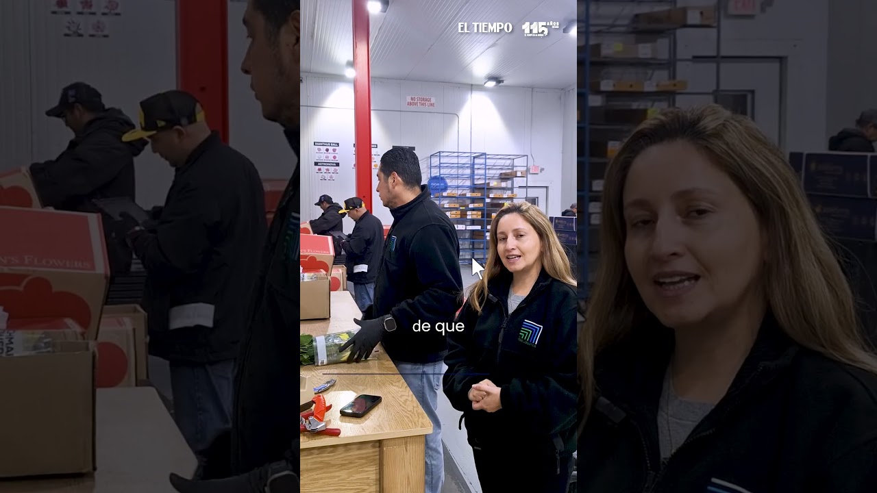 As&iacute; es como Colombia abastece los ramos de San Valent&iacute;n en Estados Unidos #Econom&iacute;a #Comercio