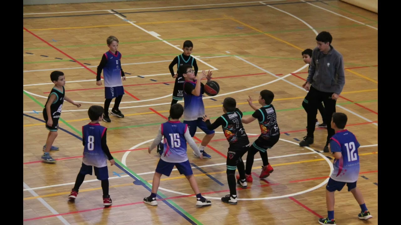 Resumen semanal FMD 28/02/2026