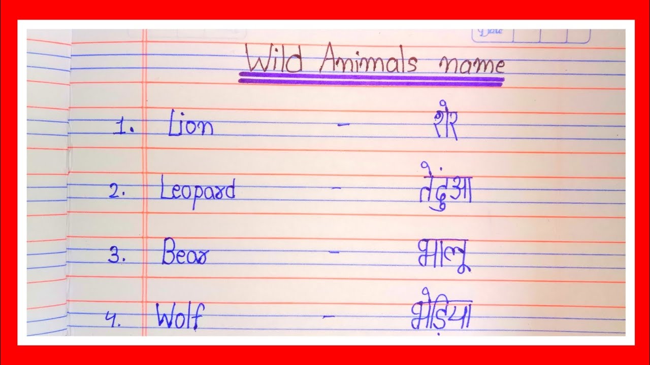 10 wild animals name in English l wild animals name in English and Hindi l जंगल के जानवरों के नाम