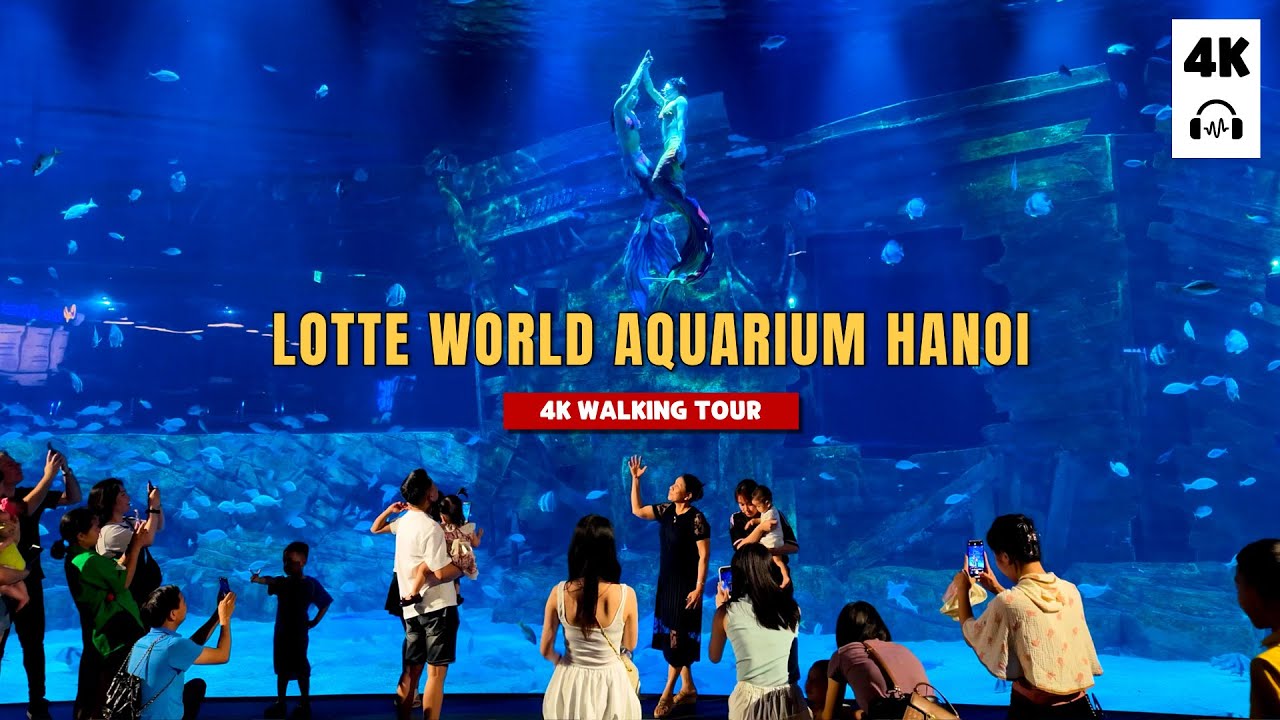 Walk in the Lotte World Aquarium Hanoi - Walk with me | Walking tour 4K HDR | Quang Slow