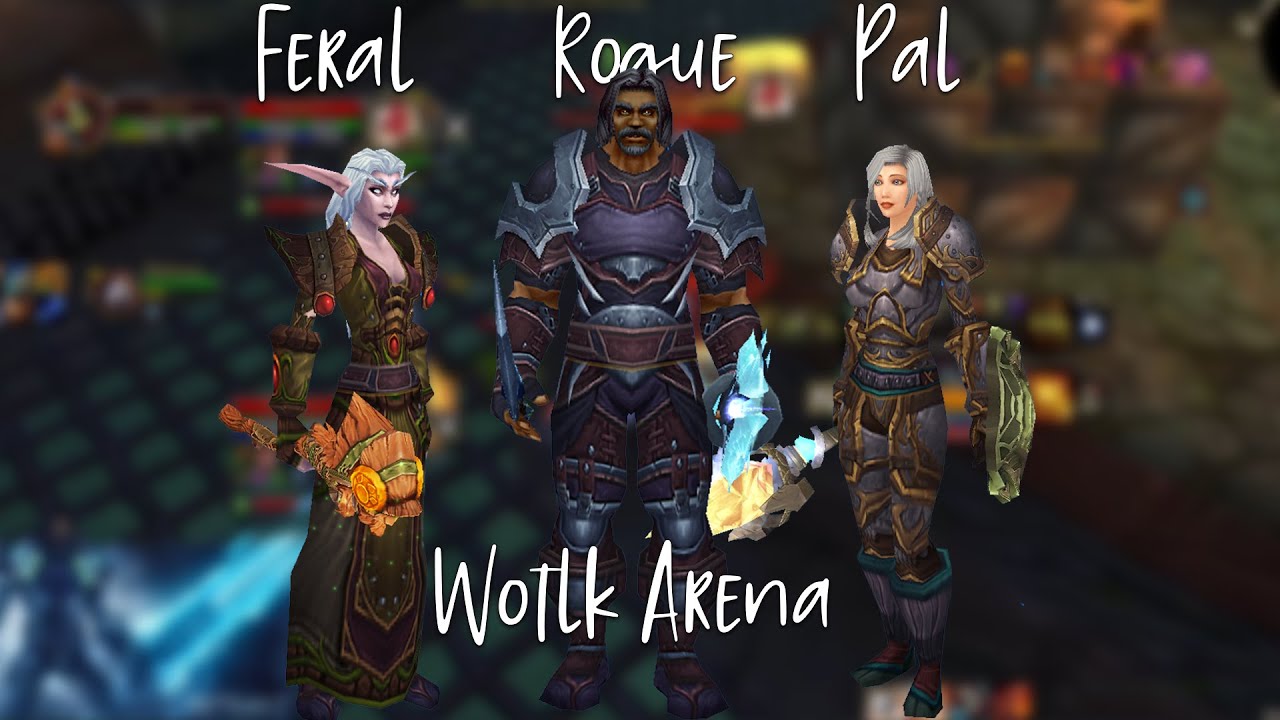 WOTLK classic PVP 3v3 ARENA Feral Rogue HPal